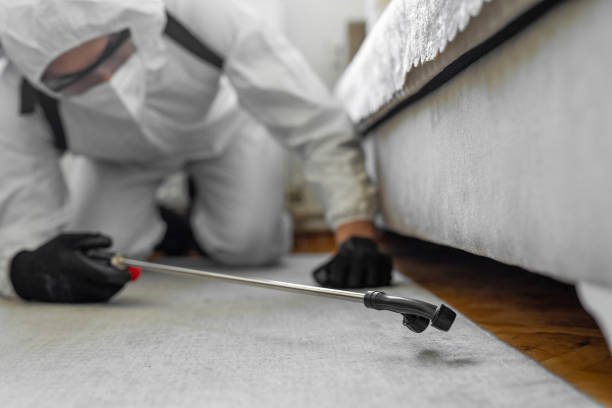 Professional Termite Control technician working in Lyndonville, VT
