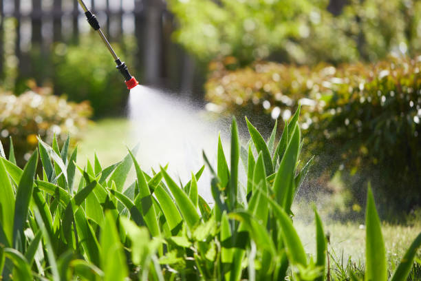 24/7 Emergency Termite Control experts in Lyndonville, VT